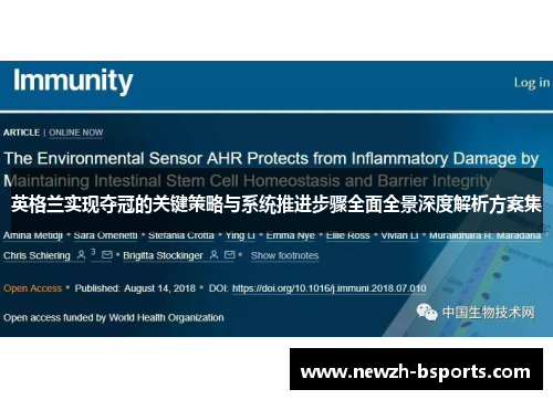 英格兰实现夺冠的关键策略与系统推进步骤全面全景深度解析方案集