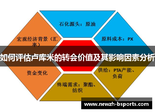 如何评估卢库米的转会价值及其影响因素分析